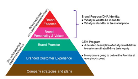 λ׌͑w(yn)ɞI(y)DNAһ